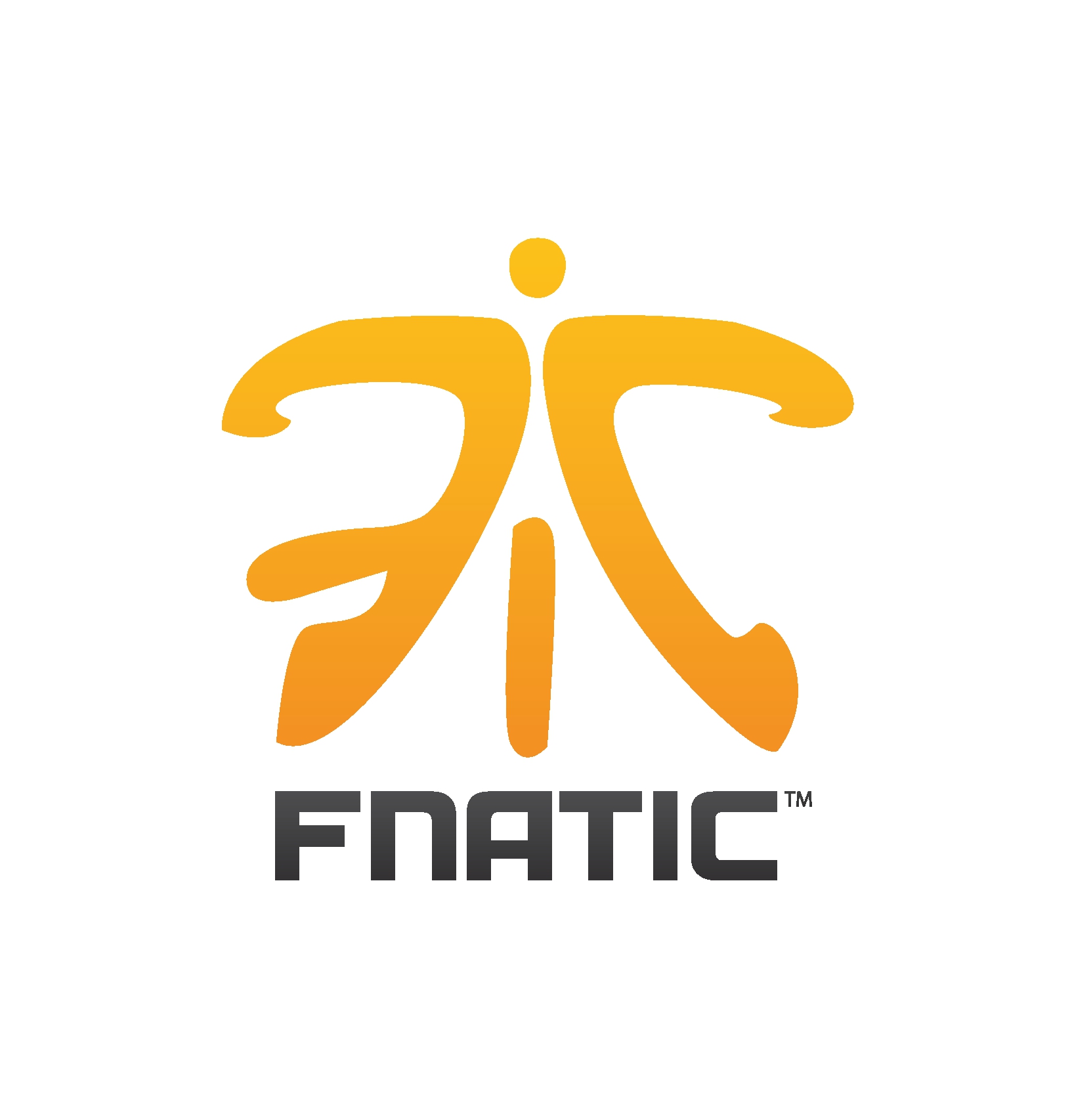 Világbajnokság csapatbemutató: Fnatic